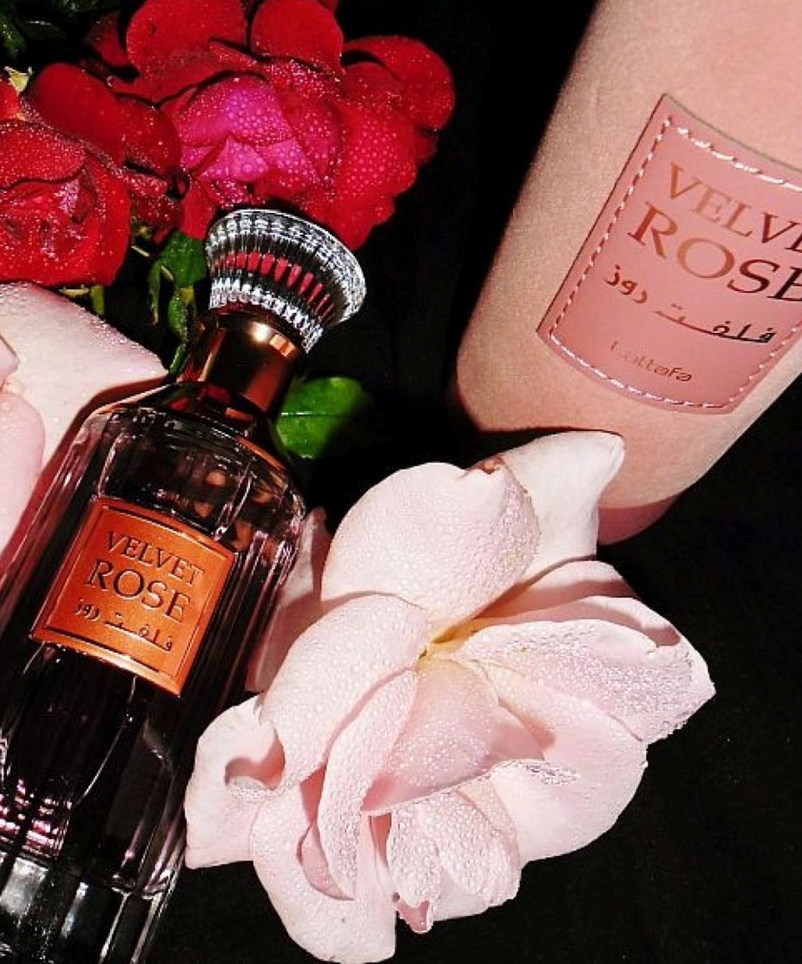 Velvet Rose