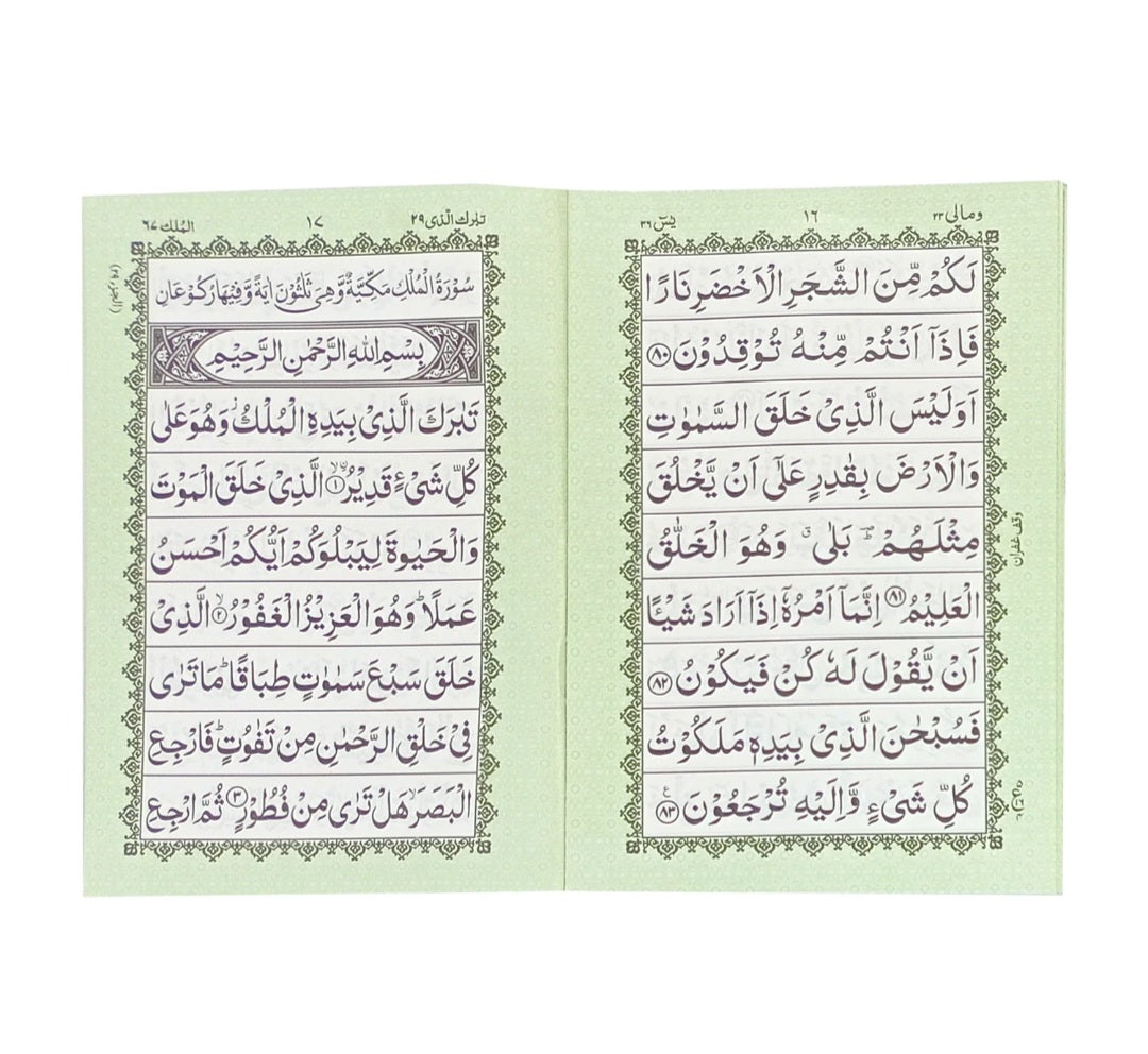 Surah Yaseen With Other Surahs & Manzil
