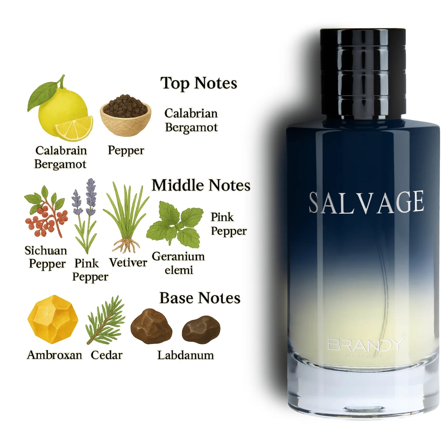 Salvage Eau de Parfum 100ml – Long Lasting Fresh Woody Fragrance for Men