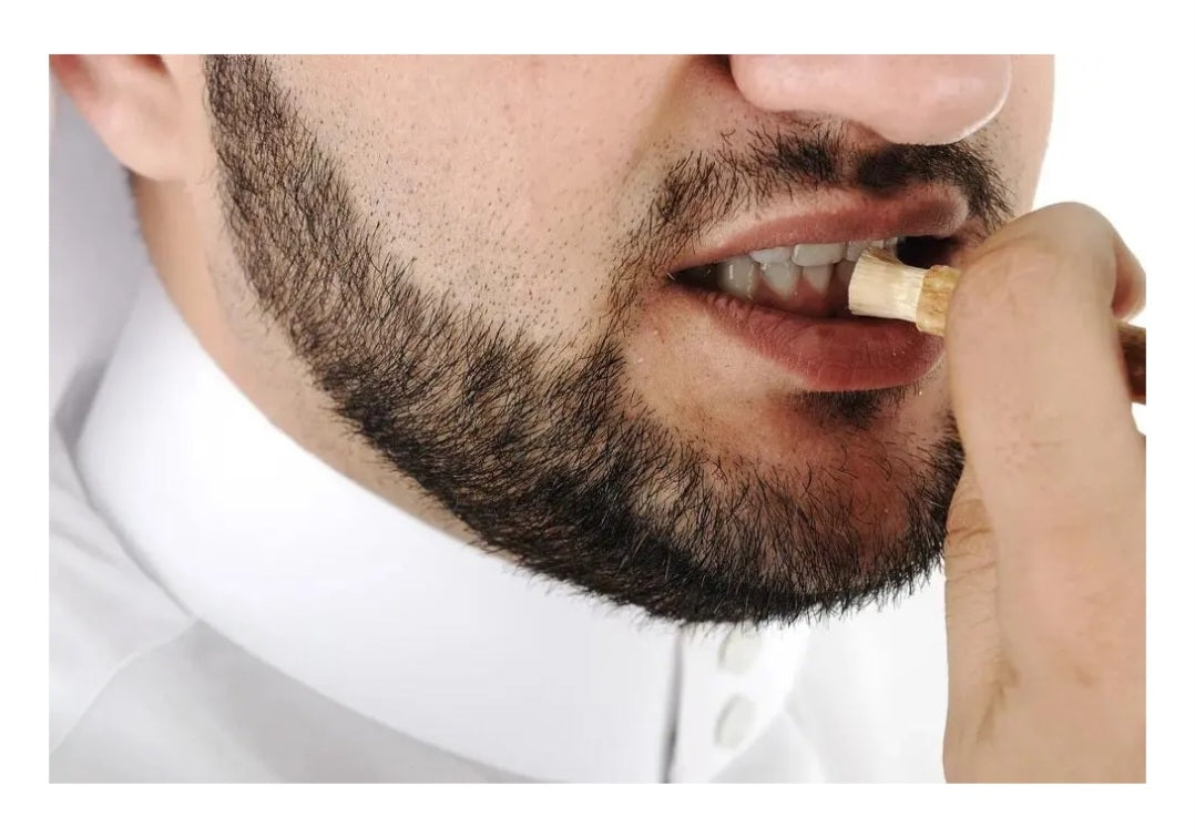 Sewak Al-Falah Natural Miswak With Holder