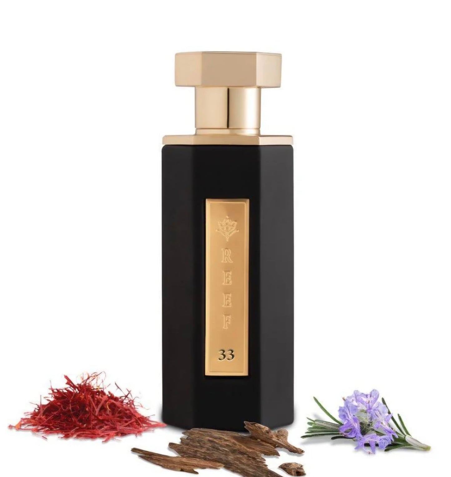 REEF 33 100ml